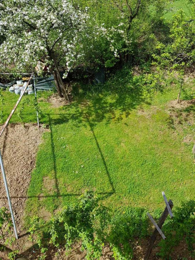 Visoko Homestay Dış mekan fotoğraf